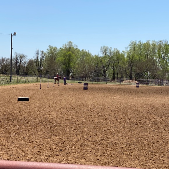 Meet your Posher, Joslin - Picture 2 of 3